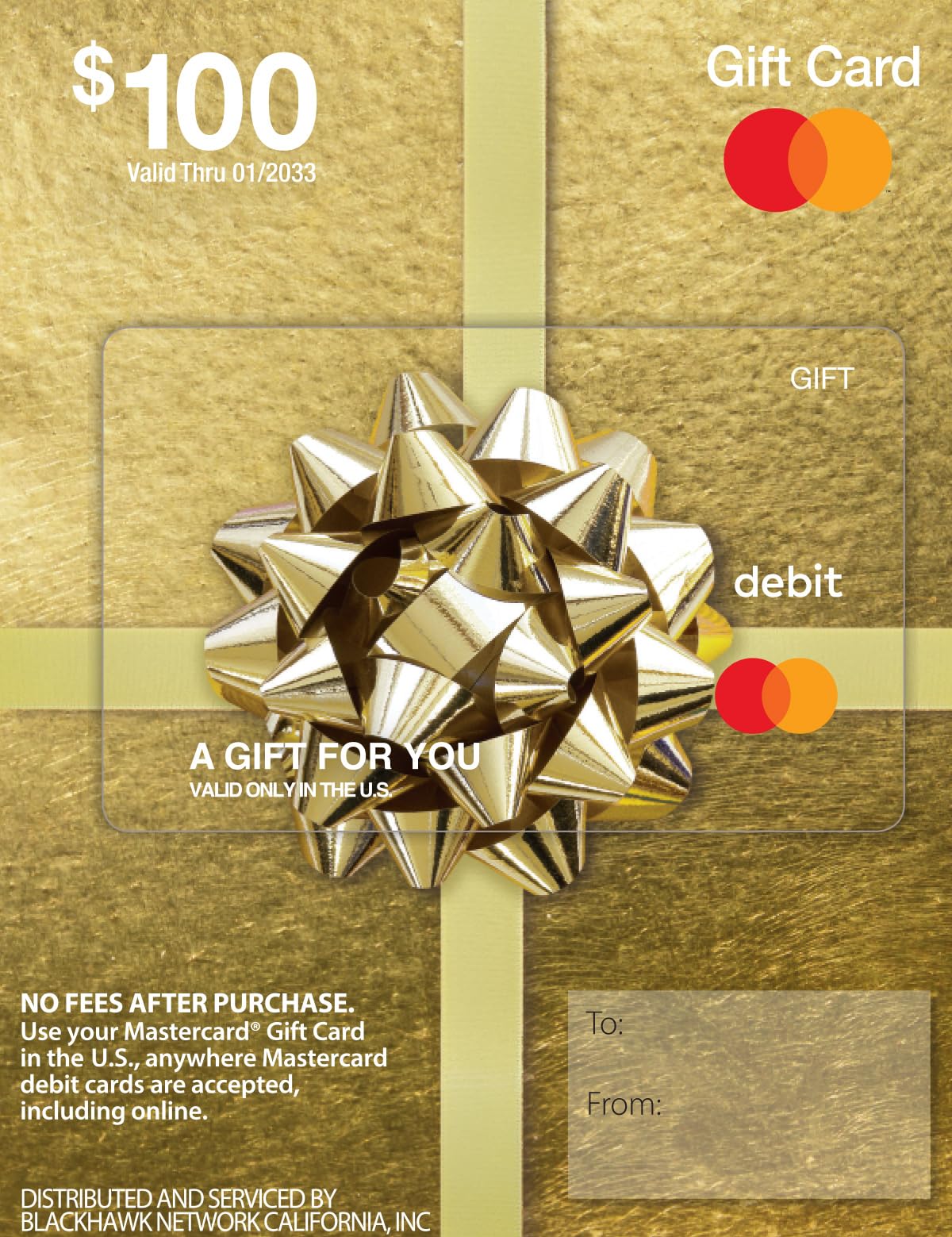$100 Mastercard Gift Card - Ideal for Last-Minute Holiday Shopping - Online Purchases Only - $100 Value + $5.95 Purchase